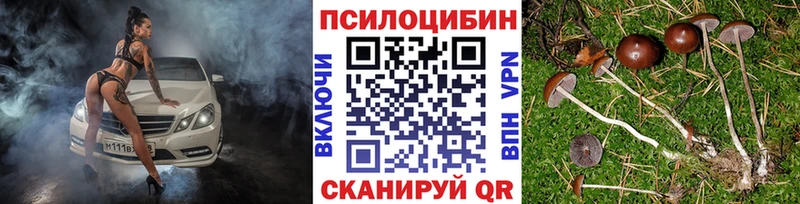 купить  цена  Поронайск  Галлюциногенные грибы Psilocybe 